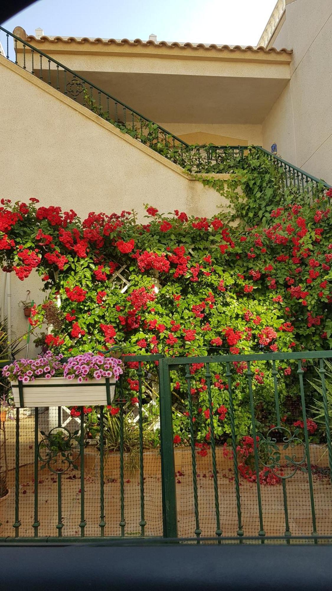Apartamento Montegolf Con Terraza Privada Los Dolses Exterior foto